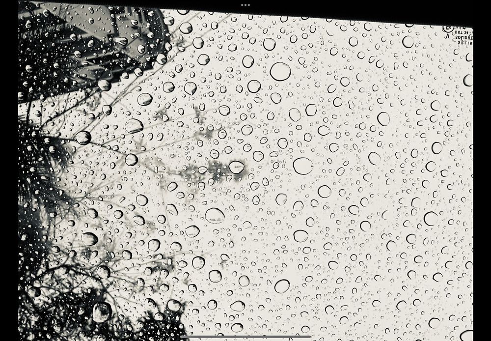 Photograph by ISHANI SANGEETH 22