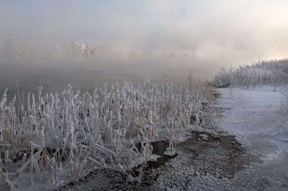 Photograph by Александр Попов