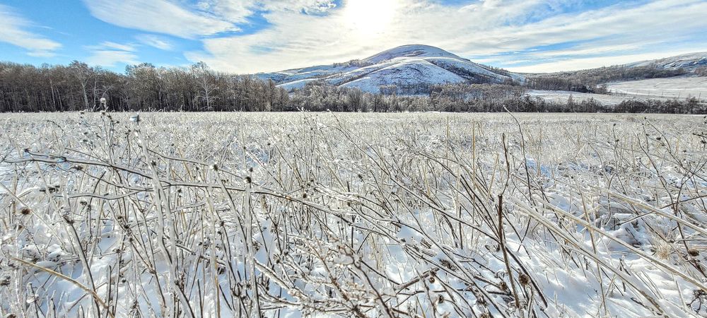 Фотография автора Egoreshka