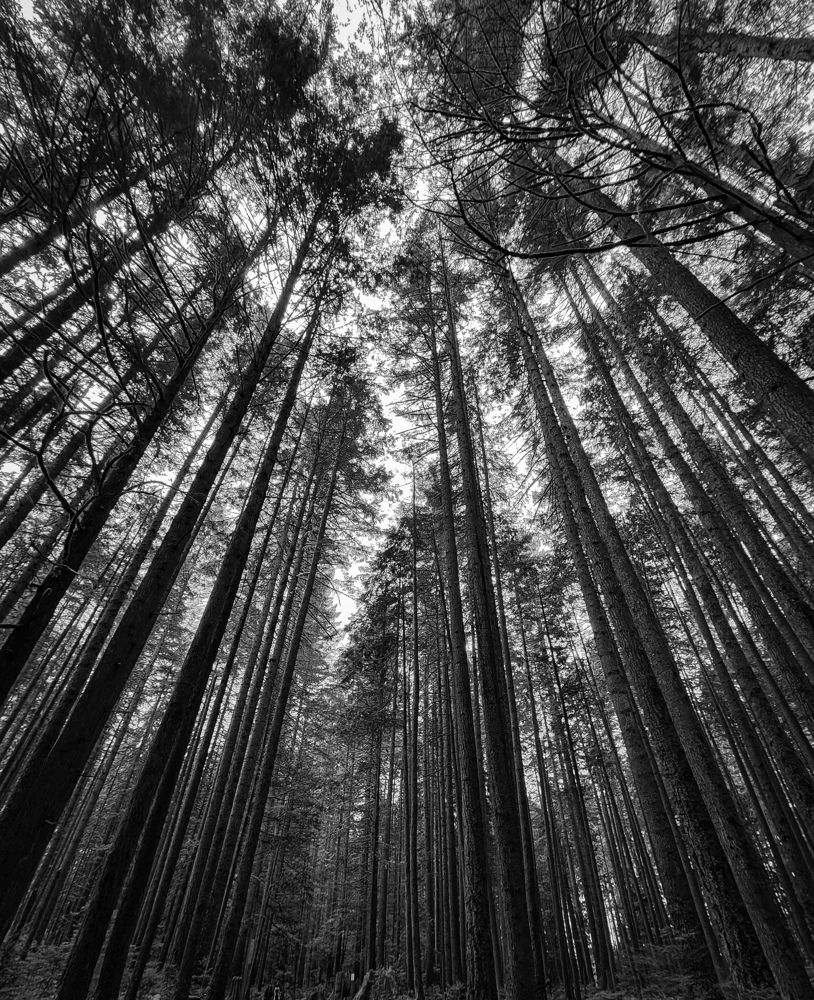 Photograph by Jay Sharan