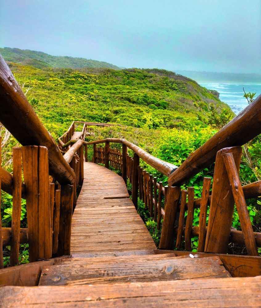 Фотография автора Bernadette Pretorius