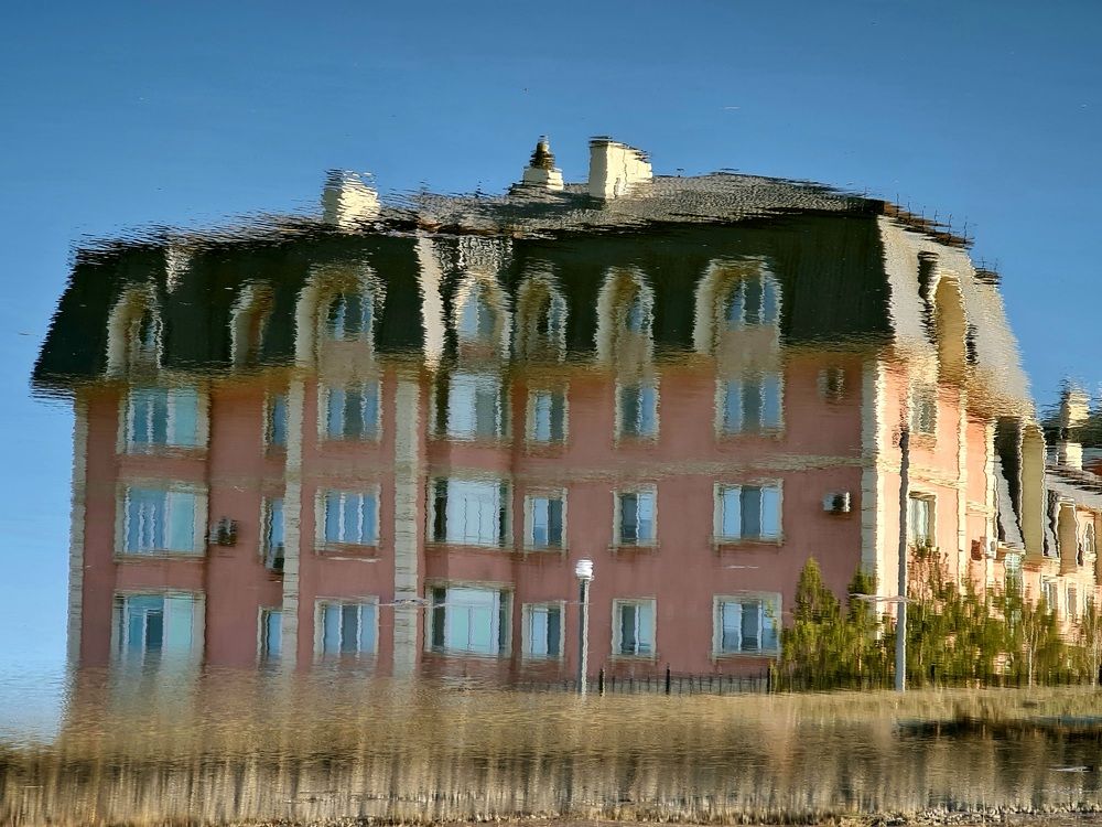 Photograph by фид зон