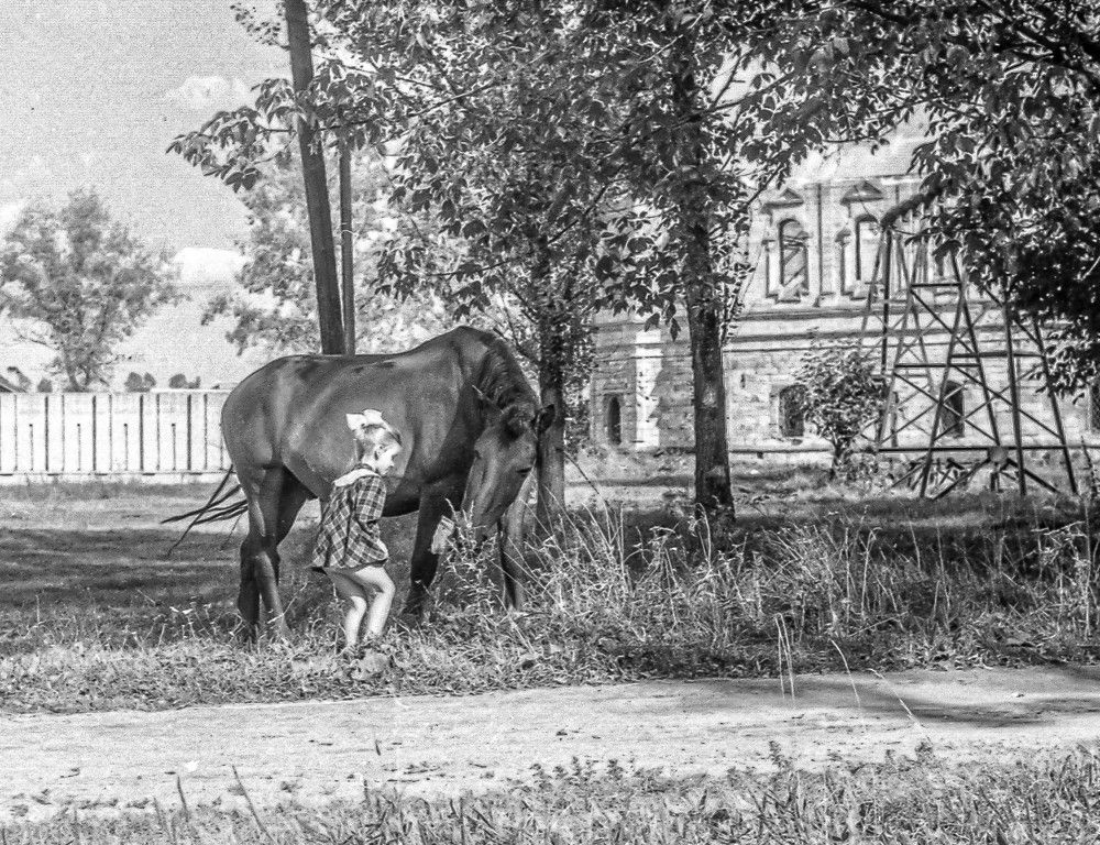 Photograph by Vladimir  Komarov