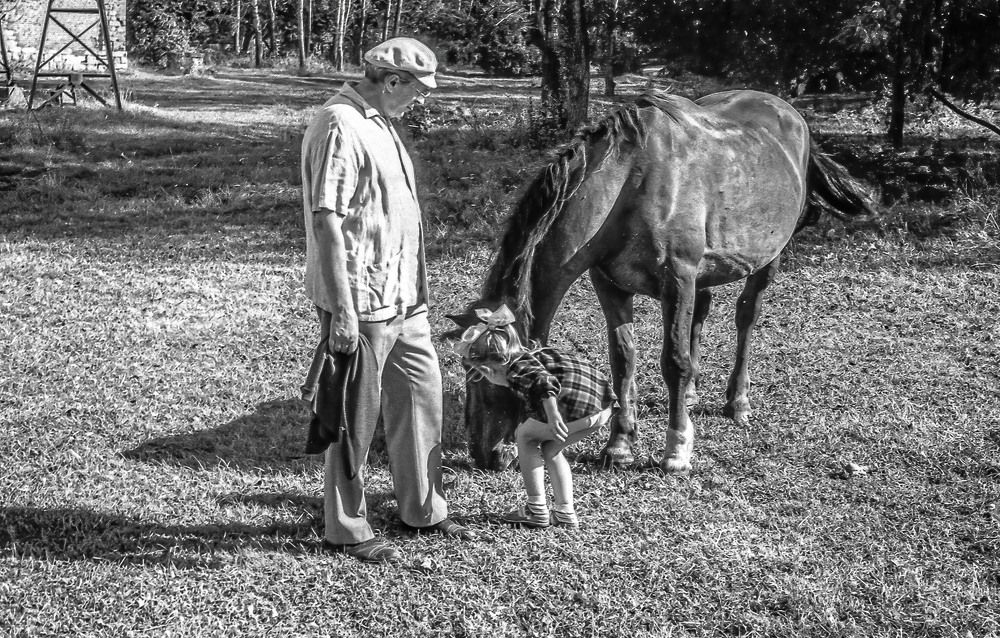Photograph by Vladimir  Komarov