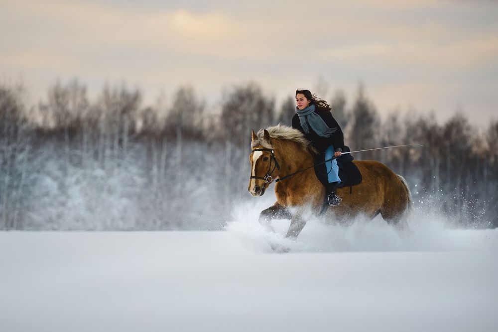 Photograph by Алексей Соколов
