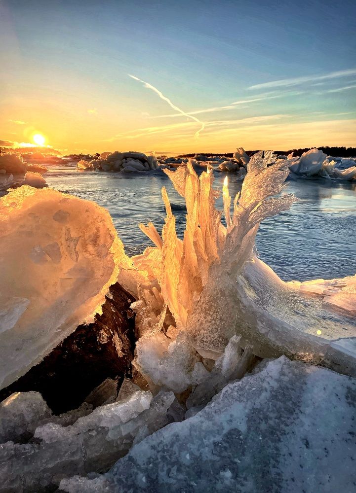 Photograph by Людмила Белякова