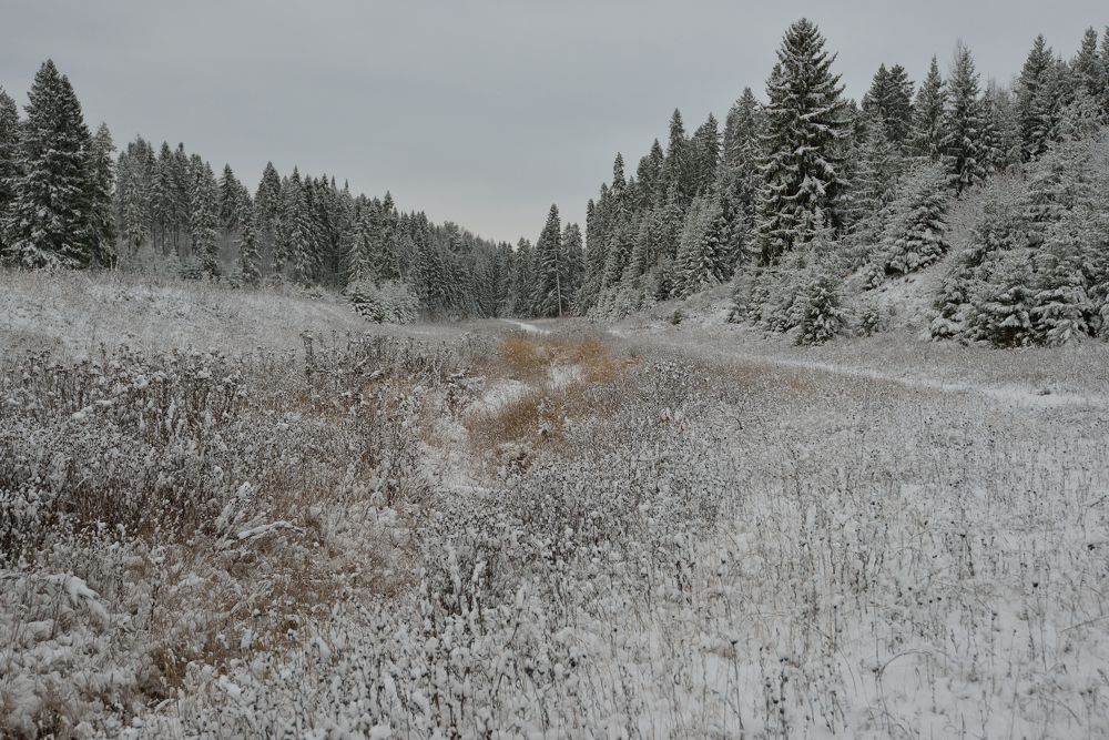 Photograph by Андрей Пляскин