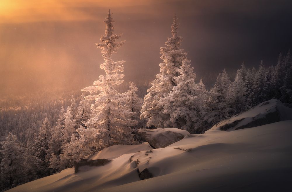 Photograph by Татьяна Бирюкова