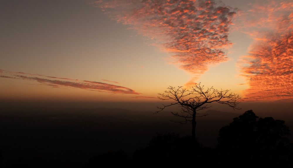 Photograph by Md. Belayet Hossain