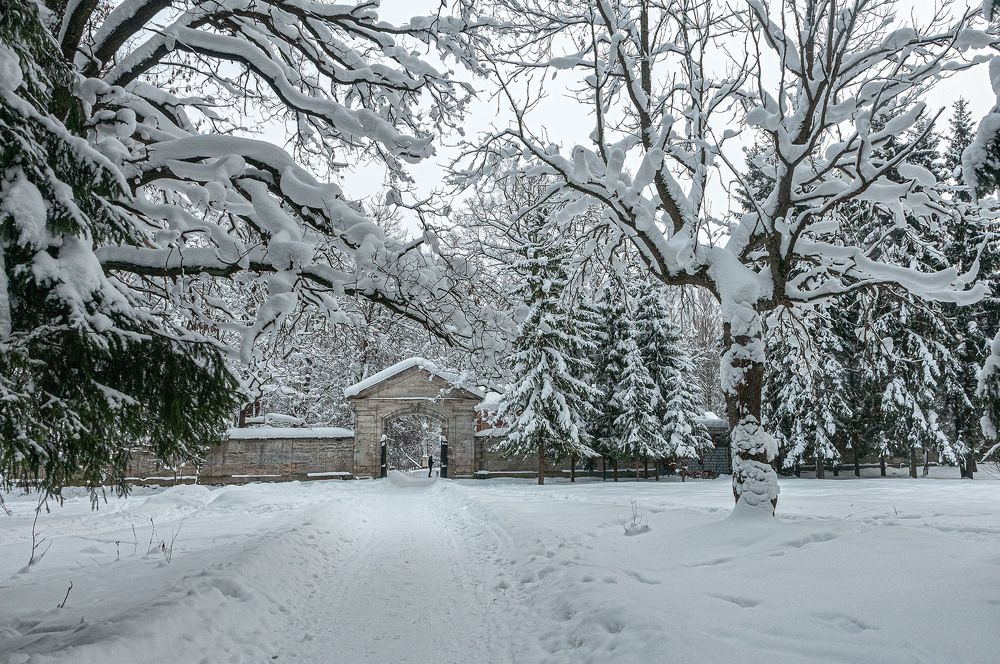 Photograph by Vladimir  Komarov