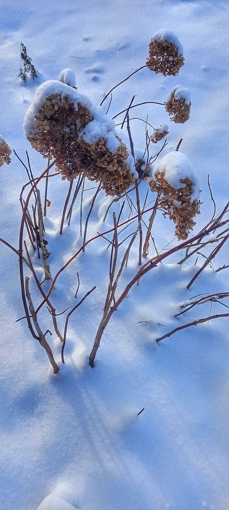 Photograph by Шевченко Алексей