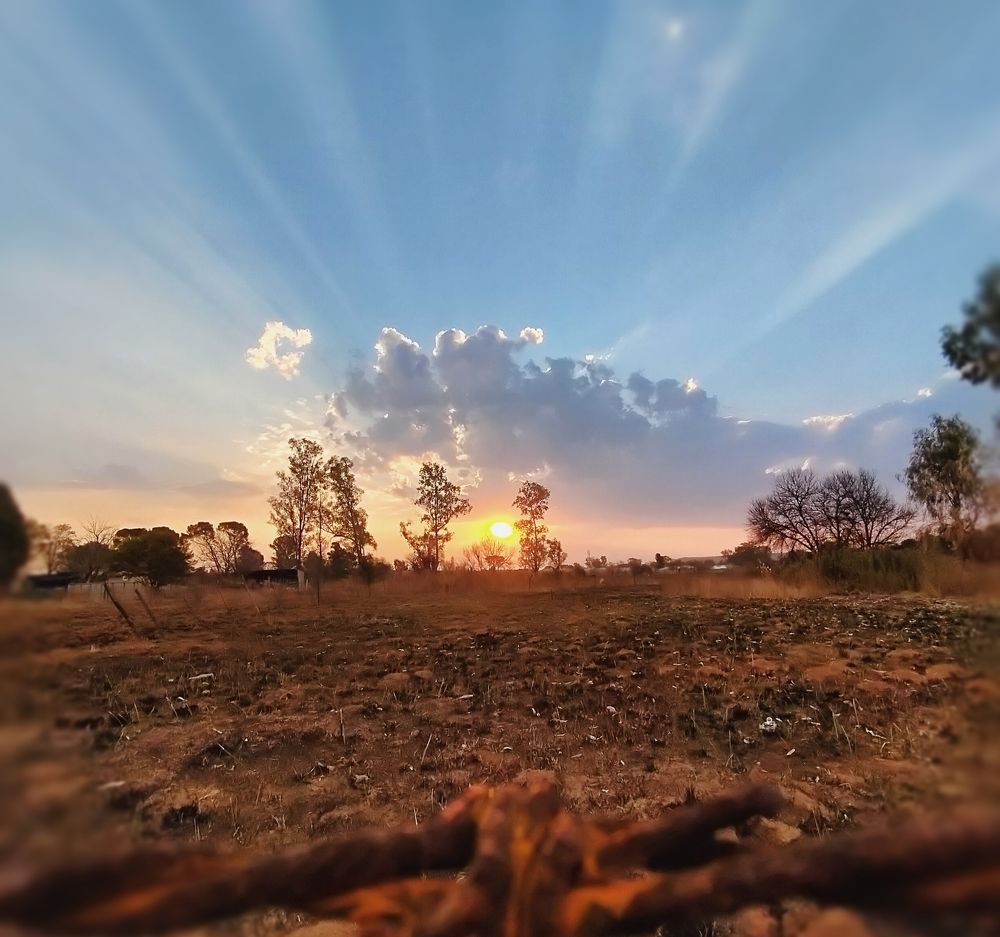 Фотография автора Bernadette Pretorius