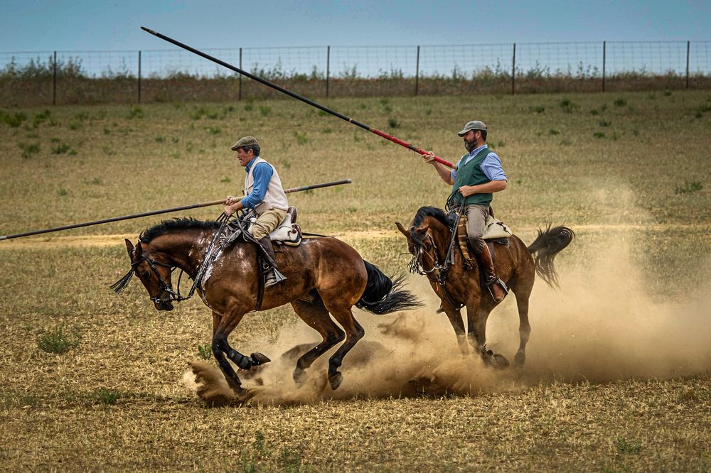 Photograph by Amelia Pardo