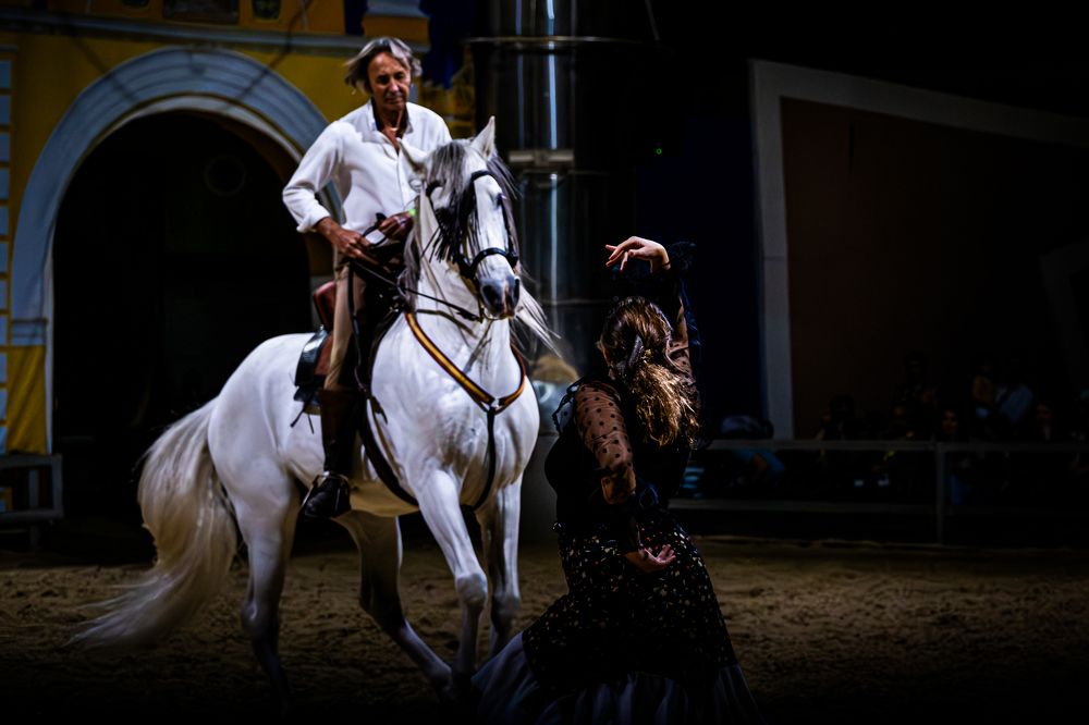 Photograph by Amelia Pardo