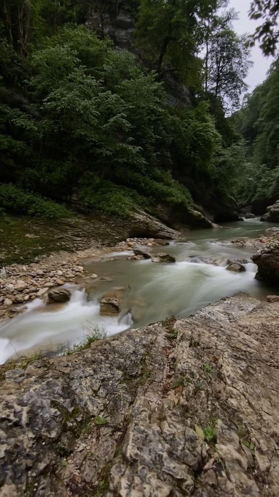 Фотография автора Антонина Кузнецова