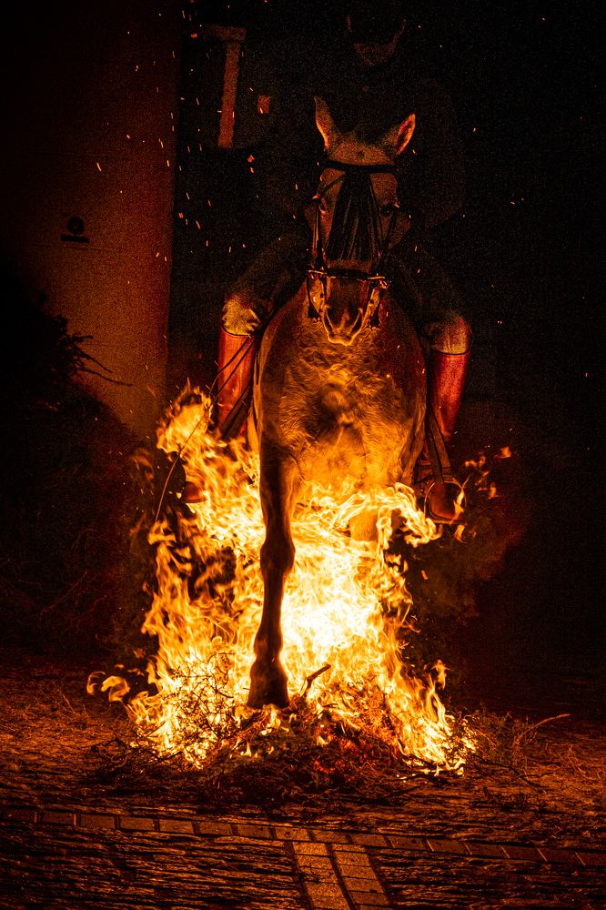 Photograph by Amelia Pardo