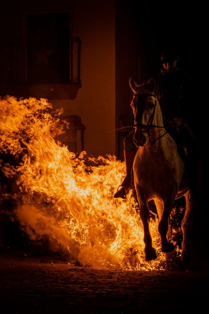 Photograph by Amelia Pardo