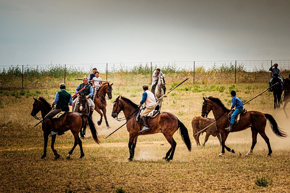 Photograph by Amelia Pardo