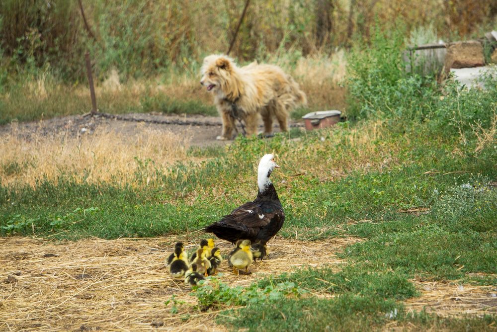 Photograph by Олег Алексеев