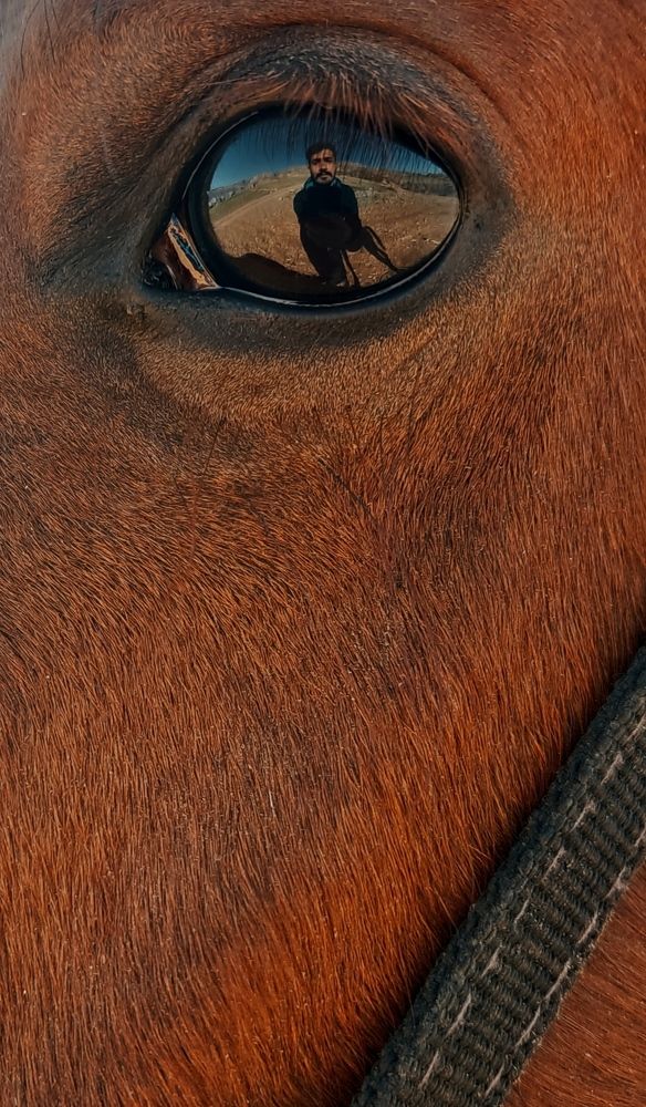 Photograph by Mohammadhossein Shariati