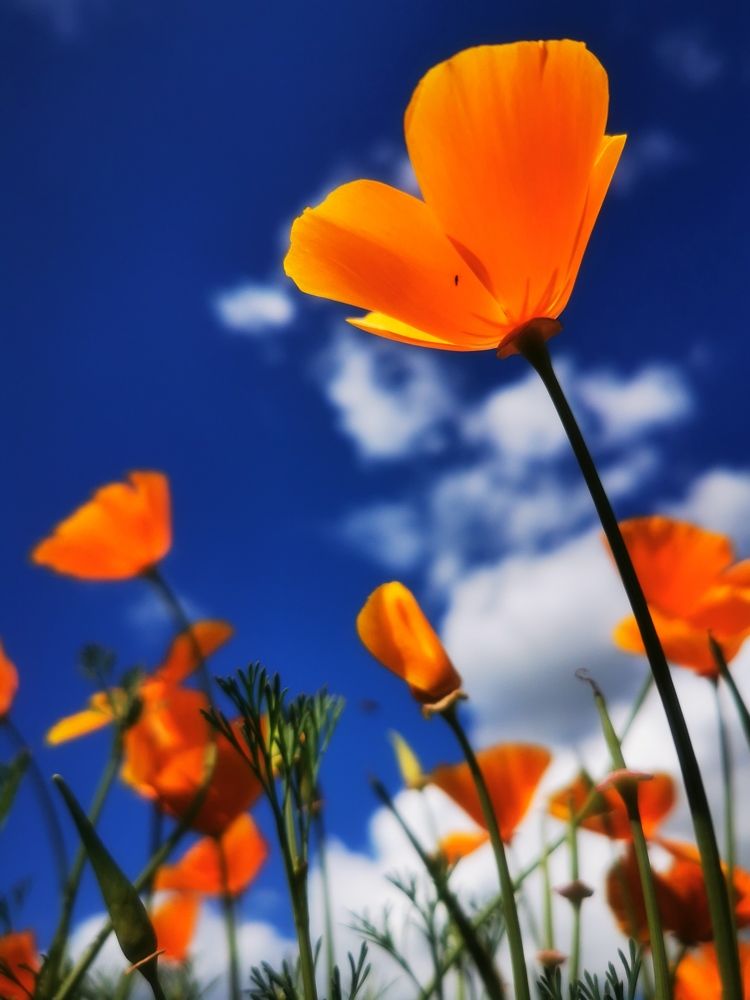 Photograph by Наталия Назаренко