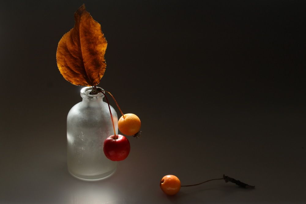 Photograph by Сироткина Нина