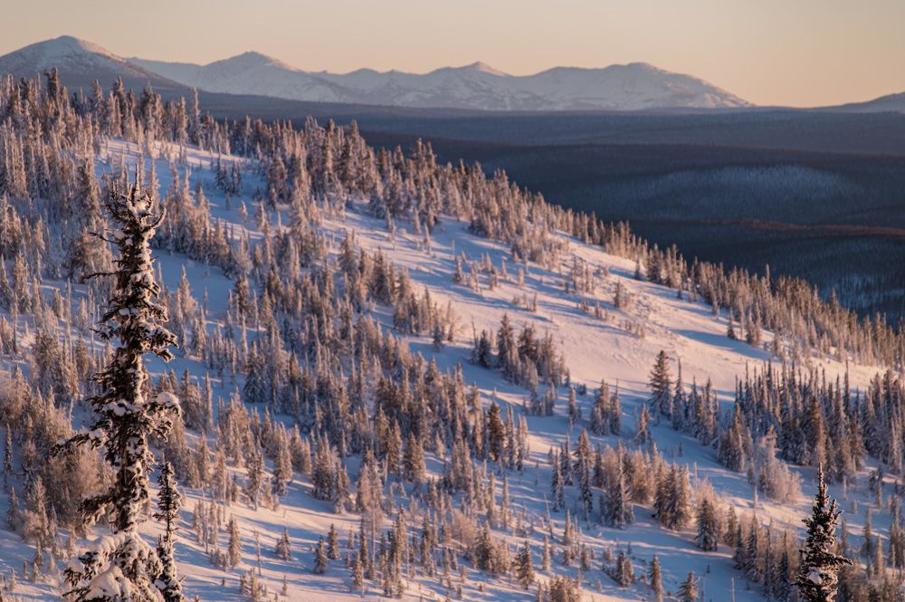 Photograph by Светлана Андреева