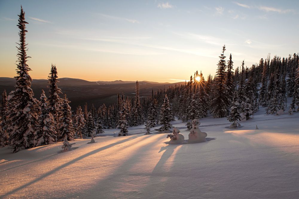 Photograph by Светлана Андреева