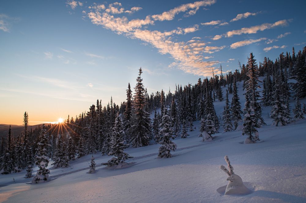 Photograph by Светлана Андреева