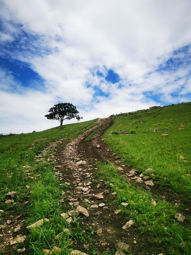 Photograph by Наталия Назаренко