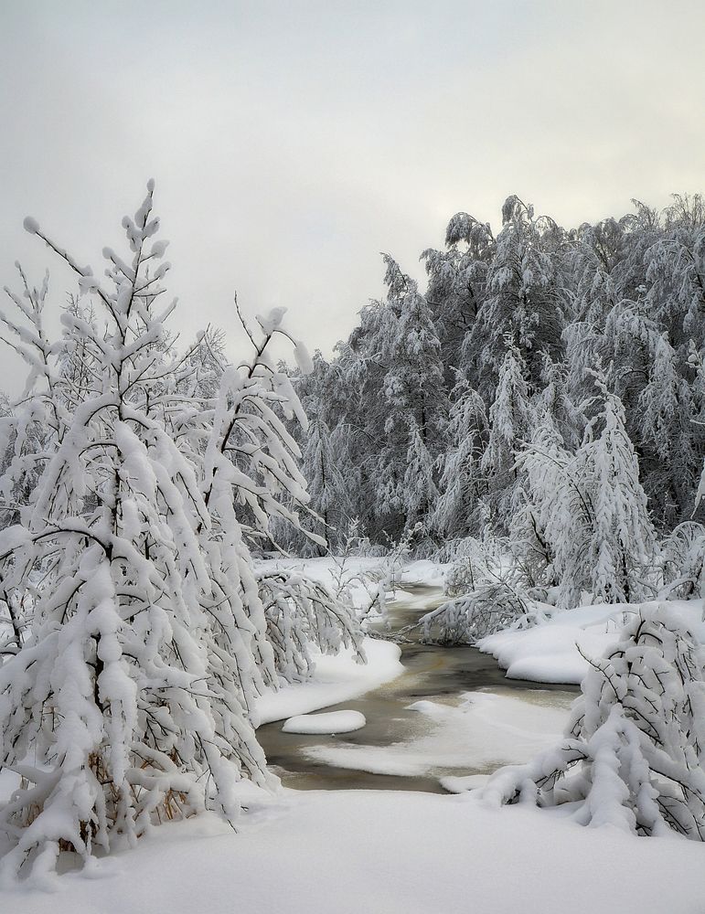 Photograph by Алексеев Сергей