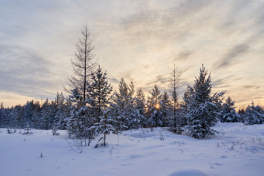 Photograph by Александр Клюев