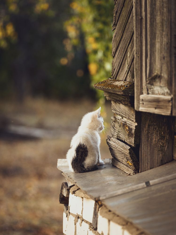 Photograph by 