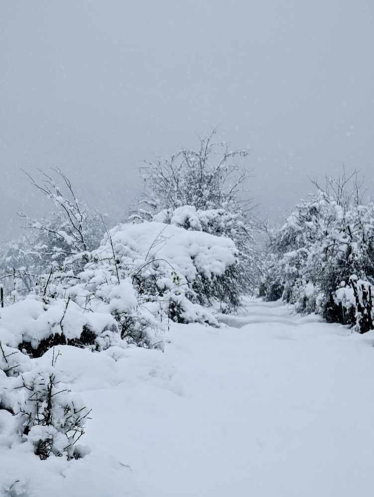 Фотография автора Ольга Костенко