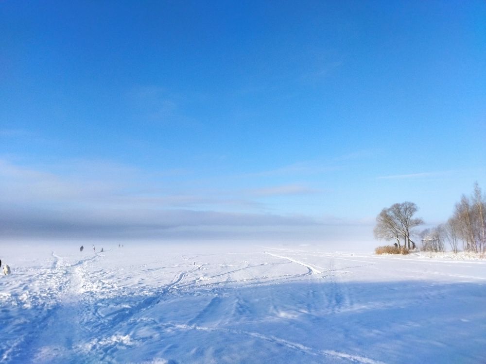 Photograph by Светлана Циркова