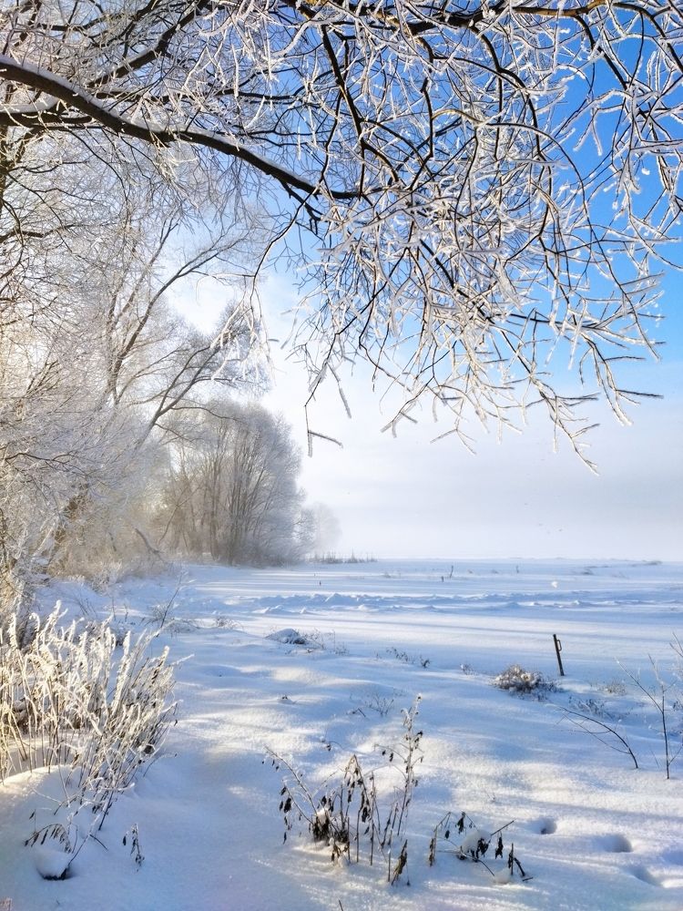 Photo #10032842