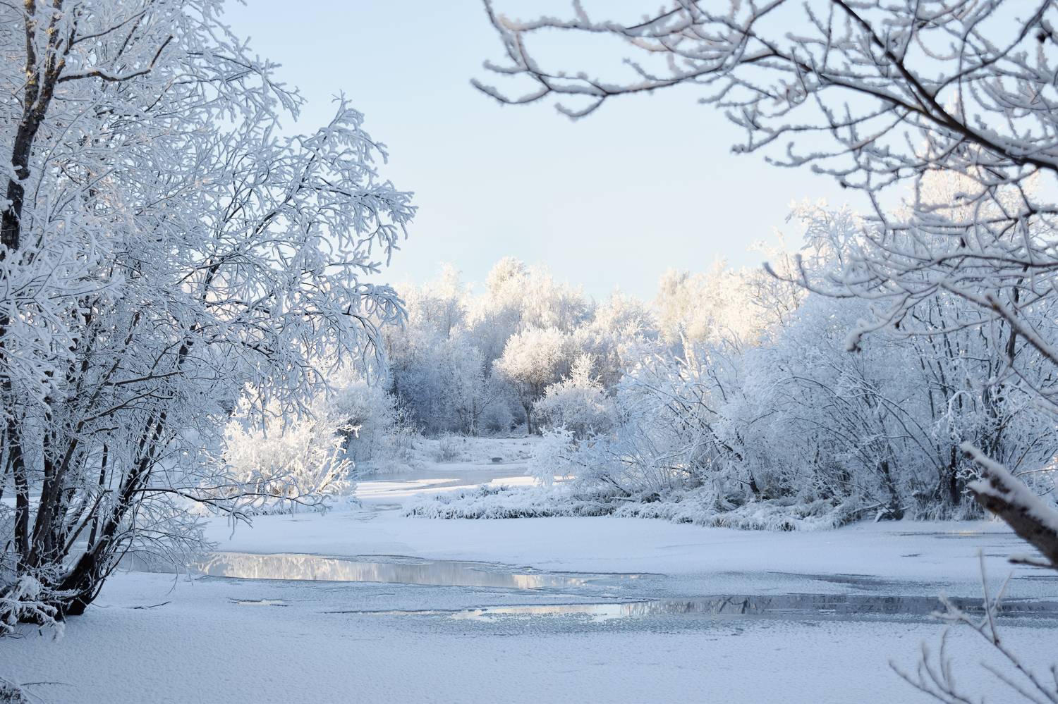 Фотография #10032845