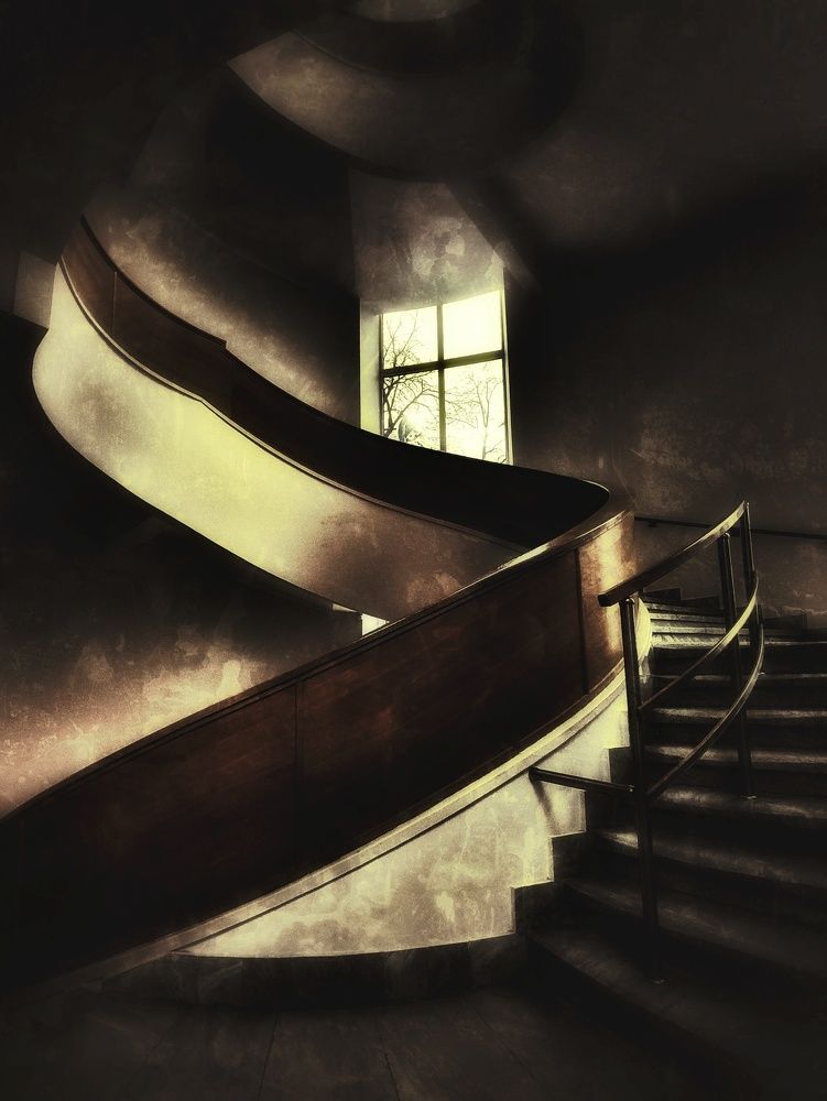 Photograph by Anastasia Malyukova