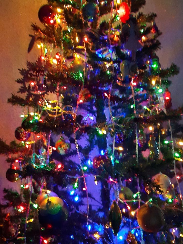 Фотография автора Наталья Шендяпина