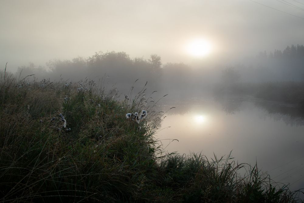 Photograph by Alesya Kopylova