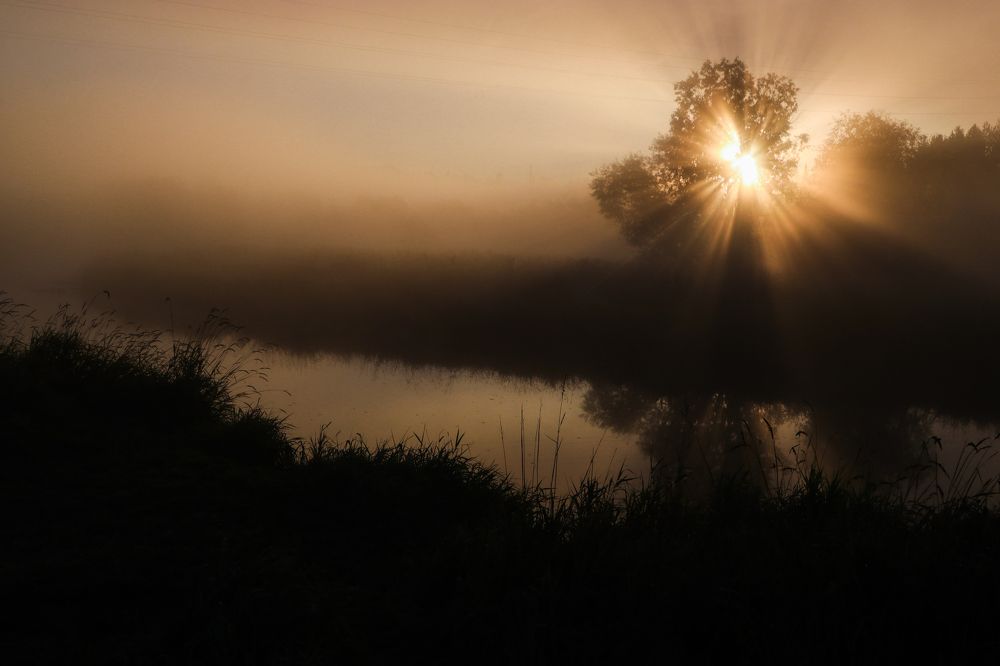 Photograph by Alesya Kopylova