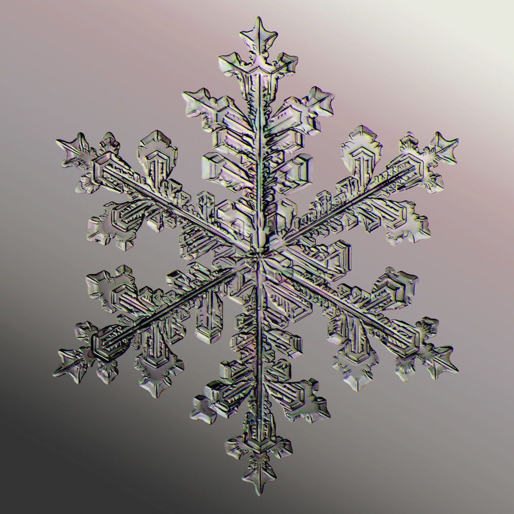 Photograph by Тимофей Черепанов