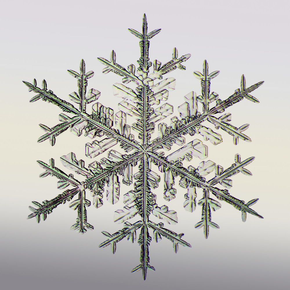 Photograph by Тимофей Черепанов