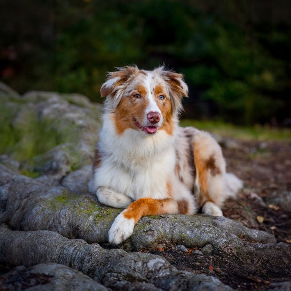 Фотография автора Claudia