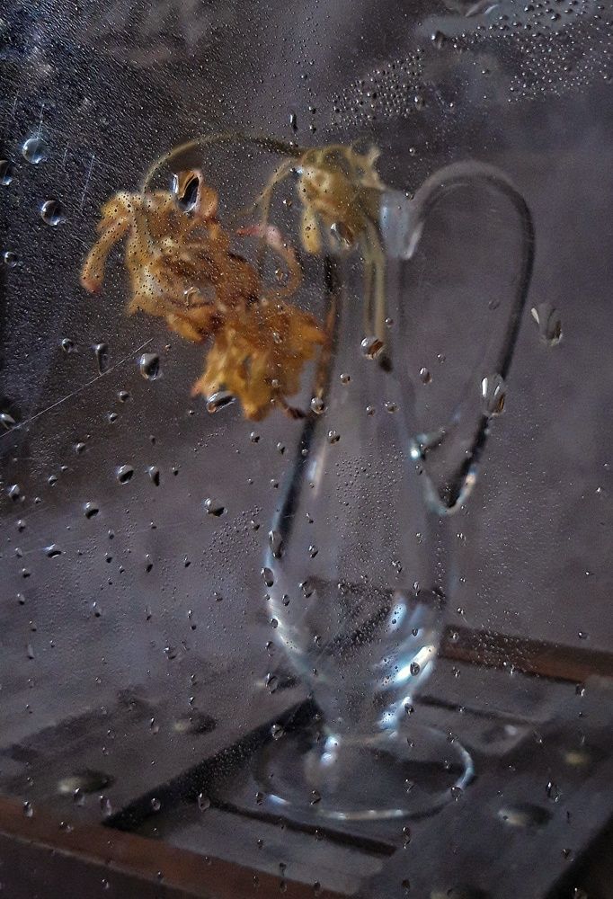 Photograph by Angelica Medvedeva