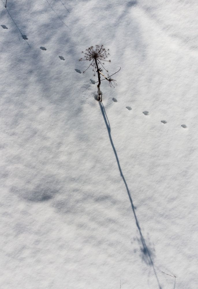 Photograph by Вячеслав