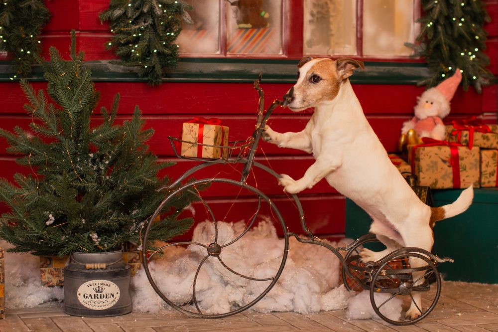 Photograph by Ольга