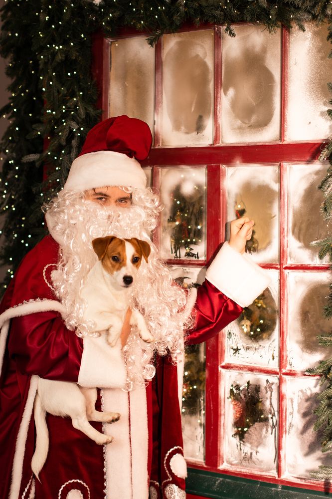 Photograph by Ольга