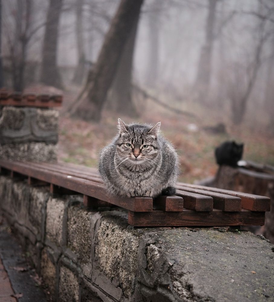 Отдыхающий.