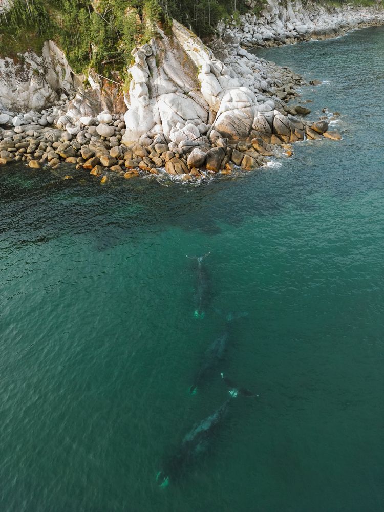 Фотография автора Андрей Дербин